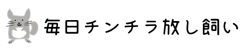 毎日チンチラ放し飼い