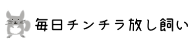 毎日チンチラ放し飼い