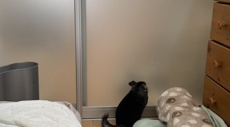 エアコンが新しくなった