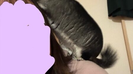 自分の名前わかってる？