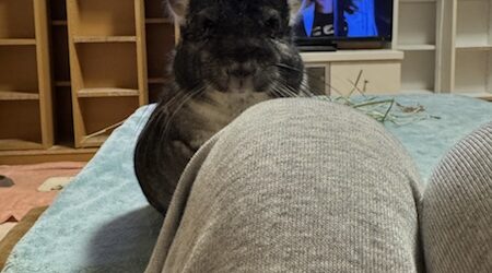 ずんずん