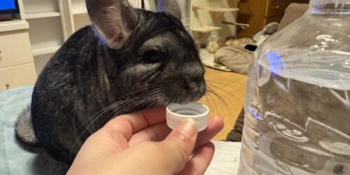 水滴