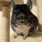 増えた抵抗